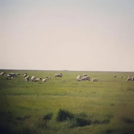 La Baie Du Mont De Proche Du Mont Saint Michel * רוז-סור-קוונו